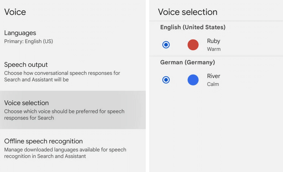Descrizione delle funzionalità vocali di Ruby e River di Gemini, fonte androidauthority 17 Giugno 2024