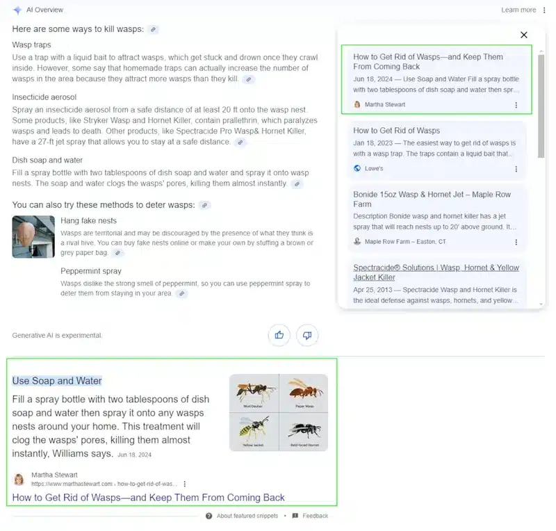 Martha Stewart AI Overviews come uccidere vespe esmepio di IA VS contenuti originali agosto 2024 