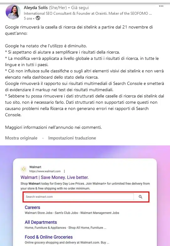 Aleyda Solis su LinkedIn 22 ottobre 2024 sulla fine di sitelinks searchbox