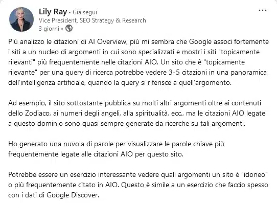 Lily Ray su LinkedIn 31 gennaio 2025